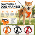 Reflective No-Pull Dog Harness infographic showing an orange harness on a dog with no-pull comfort, secure buckles, lightweight material, reflective details, and black, orange, and red color options